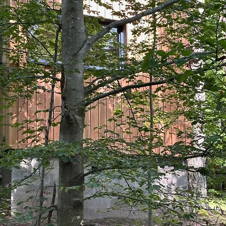 Sous Les Pins Lodge Labaroche