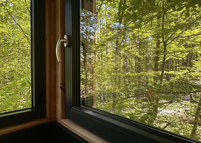 Sous Les Pins * Labaroche