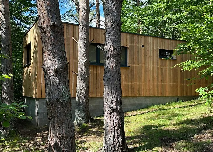 Sous Les Pins Labaroche