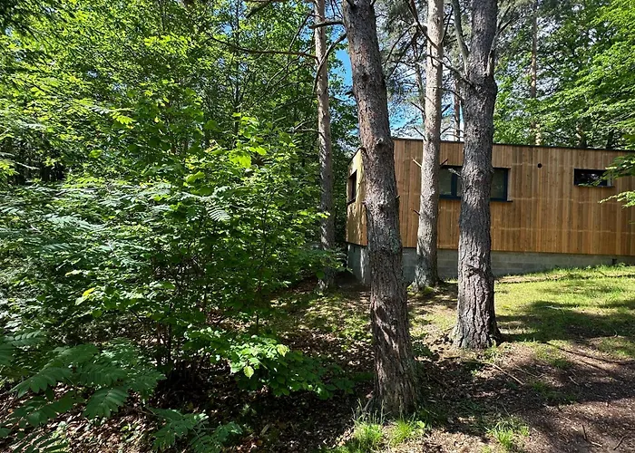 Sous Les Pins Lodge Labaroche